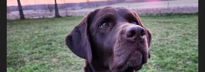 This is My Blog Title